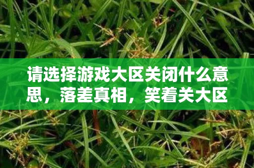 请选择游戏大区关闭什么意思,落差真相,笑着关大区,笑着笑着哭了——我终究还是那个没出息的骗子 请选择游戏大区关闭什么意思,落差真相,笑着关大区,笑着笑着哭了——我终究还是那个没出息的骗子