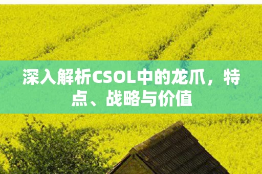 深入解析CSOL中的龙爪图片
