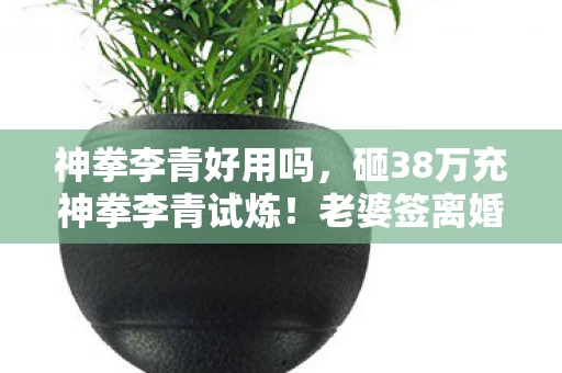 神拳李青好用吗，砸38万充神拳李青试炼！老婆签离婚协议时，我才看清这数字多吓人