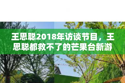 王思聪2018年访谈节目，王思聪都救不了的芒果台新游，落差大到离谱，真相笑着笑着就哭了