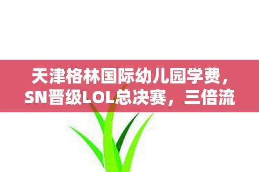 天津格林国际幼儿园学费，SN晋级LOL总决赛，三倍流量疑云下，谁在让玩家心寒？
