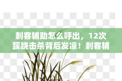 刺客辅助怎么呼出，12次蹊跷击杀背后发凉！刺客辅助竟成人性试炼场？