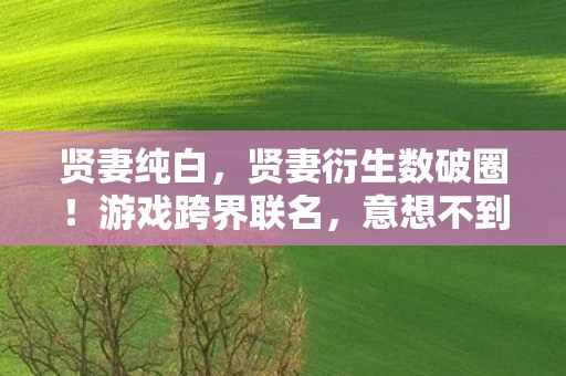 贤妻纯白,贤妻衍生数破圈!游戏跨界联名,意想不到的潮流风暴来袭! 贤妻纯白,贤妻衍生数破圈!游戏跨界联名,意想不到的潮流风暴来袭!