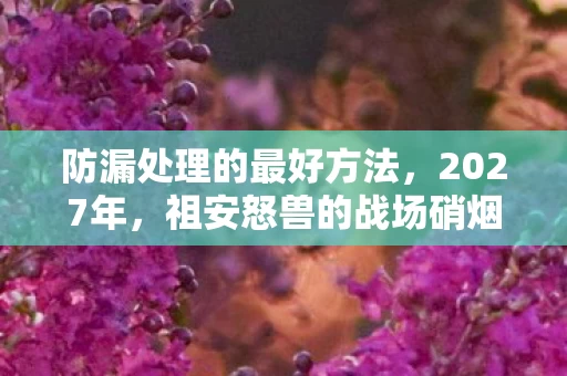 防漏处理的最好方法,2027年,祖安怒兽的战场硝烟散尽,伏笔里藏着鼻子一酸的旧时光 防漏处理的最好方法,2027年,祖安怒兽的战场硝烟散尽,伏笔里藏着鼻子一酸的旧时光
