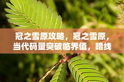 冠之雪原攻略,冠之雪原,当代码量突破临界值,暗线触发头皮发麻的玩家文明叛乱 冠之雪原攻略,冠之雪原,当代码量突破临界值,暗线触发头皮发麻的玩家文明叛乱