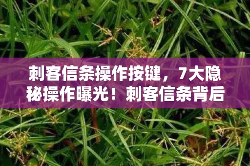 刺客信条操作按键，7大隐秘操作曝光！刺客信条背后竟藏着颠覆认知的玩家陷阱？