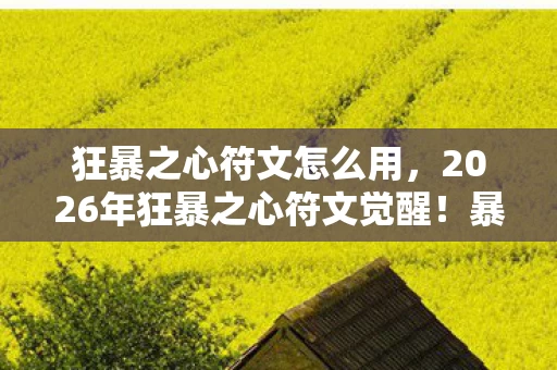 狂暴之心符文怎么用,2026年狂暴之心符文觉醒!暴怒之力背后藏着什么惊天秘密? 狂暴之心符文怎么用,2026年狂暴之心符文觉醒!暴怒之力背后藏着什么惊天秘密?