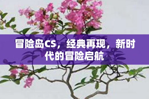 新时代的冒险启航图片
