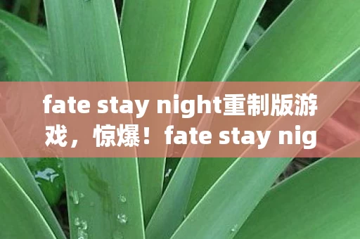 fate stay night重制版游戏,惊爆!fate stay night重制版3大颠覆设定,结局竟藏惊天反转? fate stay night重制版游戏,惊爆!fate stay night重制版3大颠覆设定,结局竟藏惊天反转?