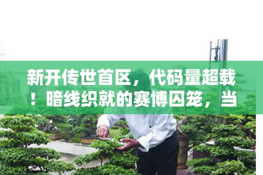 新开传世首区，代码量超载！暗线织就的赛博囚笼，当玩家触发头皮发麻级觉醒