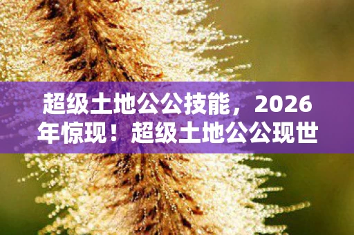 超级土地公公技能,2026年惊现!超级土地公公现世,竟与99%人类命运息息相关? 超级土地公公技能,2026年惊现!超级土地公公现世,竟与99%人类命运息息相关?