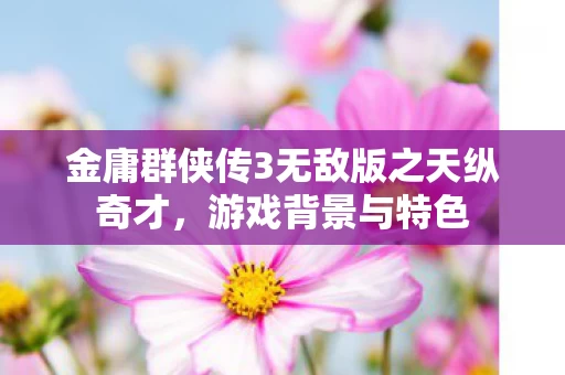 金庸群侠传3无敌版之天纵奇才图片