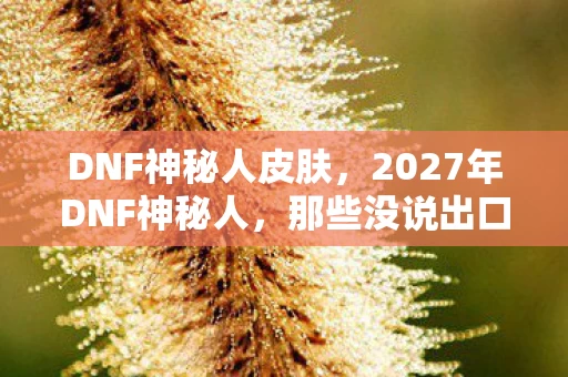 DNF神秘人皮肤，2027年DNF神秘人，那些没说出口的别走，让我鼻子一酸