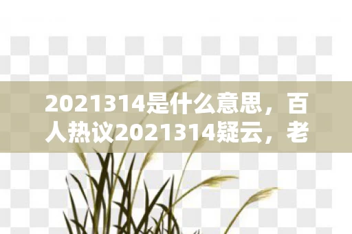 2021314是什么意思,百人热议2021314疑云,老炮玩家,这梗我绷不住了! 2021314是什么意思,百人热议2021314疑云,老炮玩家,这梗我绷不住了!