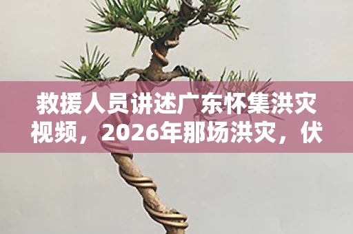 救援人员讲述广东怀集洪灾视频,2026年那场洪灾,伏笔里藏着你的身影,想起就鼻子一酸 救援人员讲述广东怀集洪灾视频,2026年那场洪灾,伏笔里藏着你的身影,想起就鼻子一酸