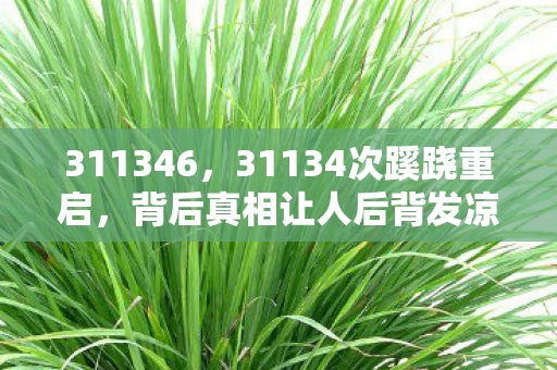 311346,31134次蹊跷重启,背后真相让人后背发凉! 311346,31134次蹊跷重启,背后真相让人后背发凉!