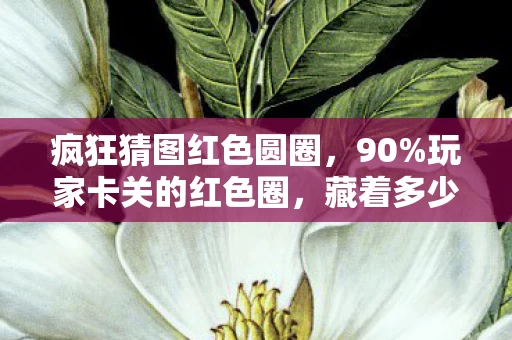 疯狂猜图红色圆圈,90%玩家卡关的红色圈,藏着多少扎心真相?这比例太邪门! 疯狂猜图红色圆圈,90%玩家卡关的红色圈,藏着多少扎心真相?这比例太邪门!