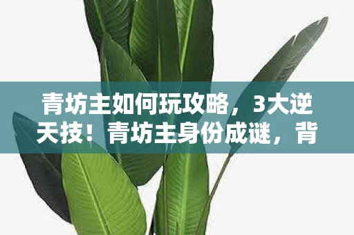 青坊主如何玩攻略,3大逆天技!青坊主身份成谜,背后竟藏着如此心酸过往? 青坊主如何玩攻略,3大逆天技!青坊主身份成谜,背后竟藏着如此心酸过往?