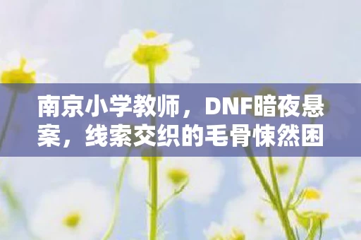 南京小学教师,DNF暗夜悬案,线索交织的毛骨悚然困局,谁能解开? 南京小学教师,DNF暗夜悬案,线索交织的毛骨悚然困局,谁能解开?