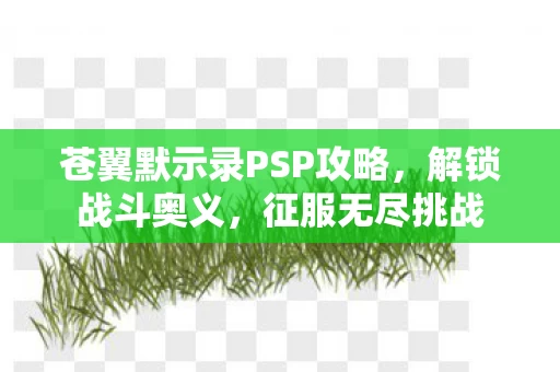 苍翼默示录PSP攻略图片