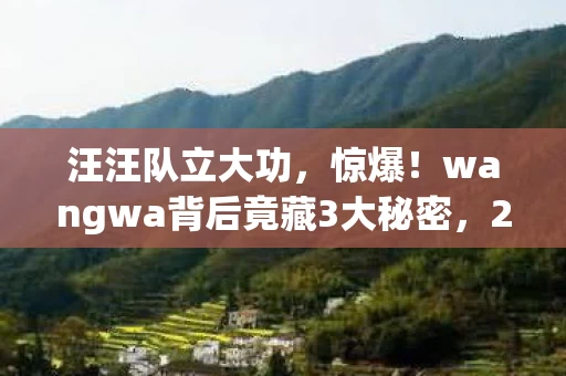 汪汪队立大功,惊爆!wangwa背后竟藏3大秘密,2027年真相让人泪目! 汪汪队立大功,惊爆!wangwa背后竟藏3大秘密,2027年真相让人泪目!
