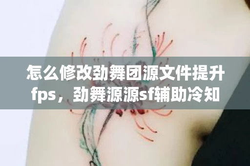 怎么修改劲舞团源文件提升fps，劲舞源源sf辅助冷知识大揭秘，颠覆认知的设计，让你目瞪口呆！