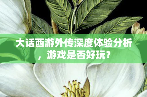 大话西游外传深度体验分析图片