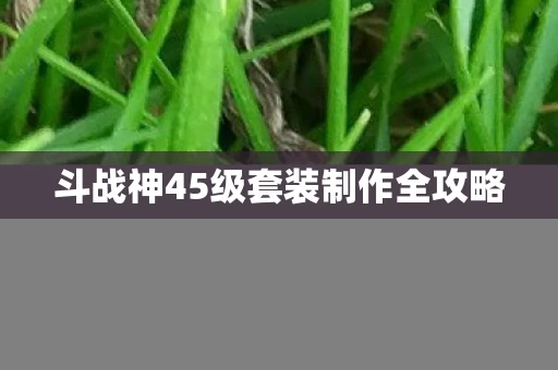 斗战神45级套装制作全攻略图片