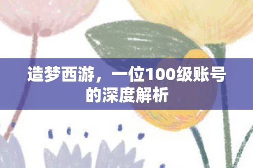 一位100级账号的深度解析图片
