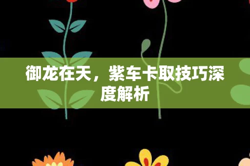 紫车卡取技巧深度解析图片