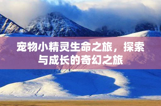 探索与成长的奇幻之旅图片