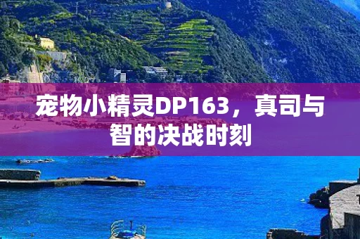 宠物小精灵DP163图片