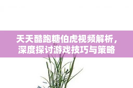 天天酷跑糖伯虎视频解析图片
