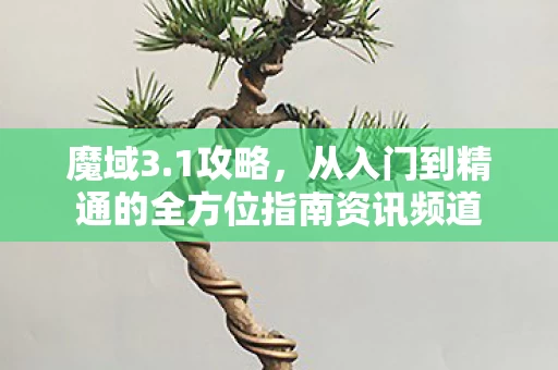 从入门到精通的全方位指南资讯频道图片
