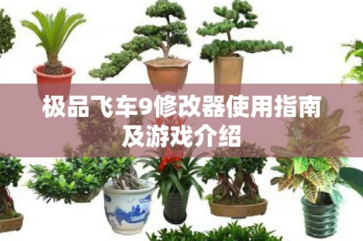 极品飞车9修改器使用指南及游戏介绍图片