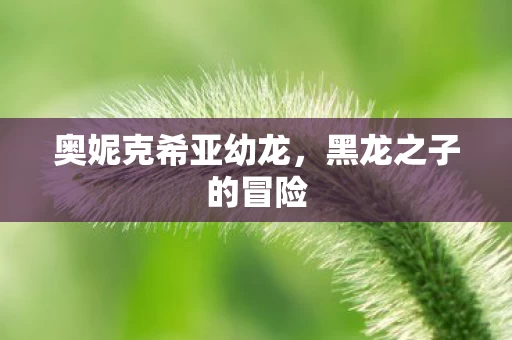 奥妮克希亚幼龙图片