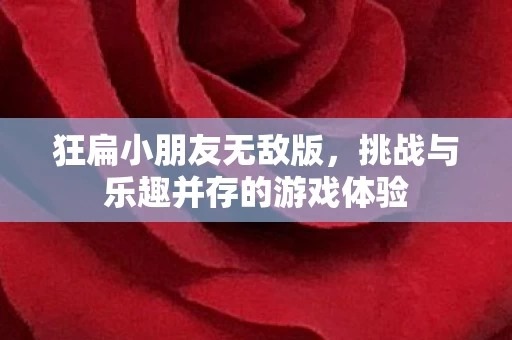 挑战与乐趣并存的游戏体验图片