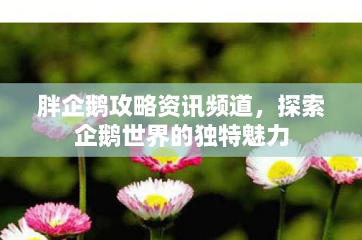 探索企鹅世界的独特魅力图片