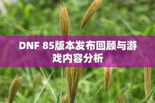 DNF 85版本发布回顾与游戏内容分析图片