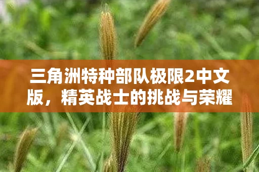 三角洲特种部队极限2中文版图片