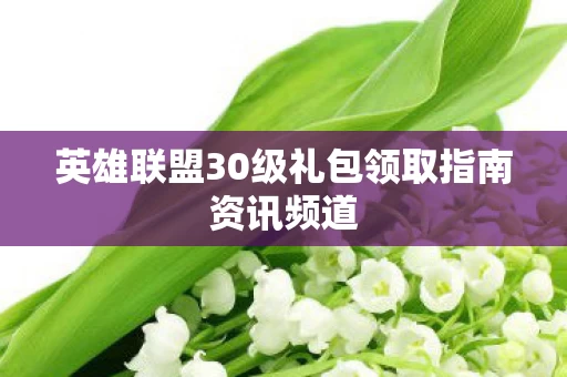 英雄联盟30级礼包领取指南资讯频道图片
