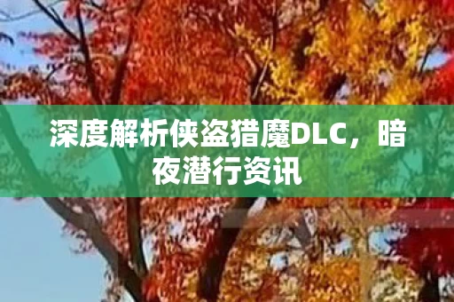 深度解析侠盗猎魔DLC图片