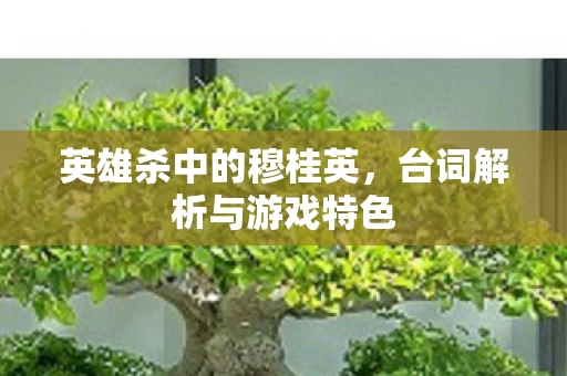 台词解析与游戏特色图片