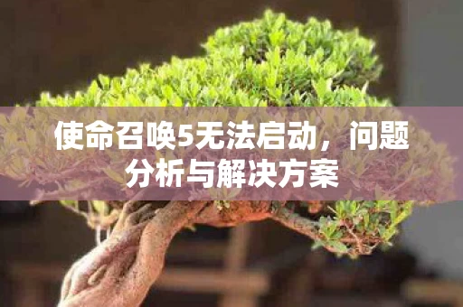 使命召唤5无法启动图片