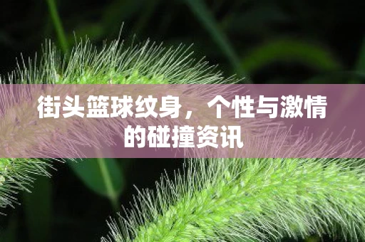 个性与激情的碰撞资讯图片