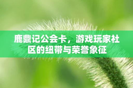游戏玩家社区的纽带与荣誉象征图片