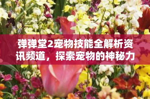 弹弹堂2宠物技能全解析资讯频道图片