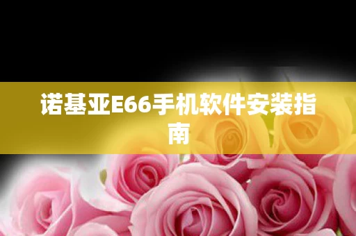 诺基亚E66手机软件安装指南图片