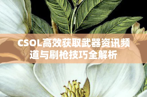 CSOL高效获取武器资讯频道与刷枪技巧全解析图片