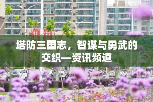 智谋与勇武的交织图片